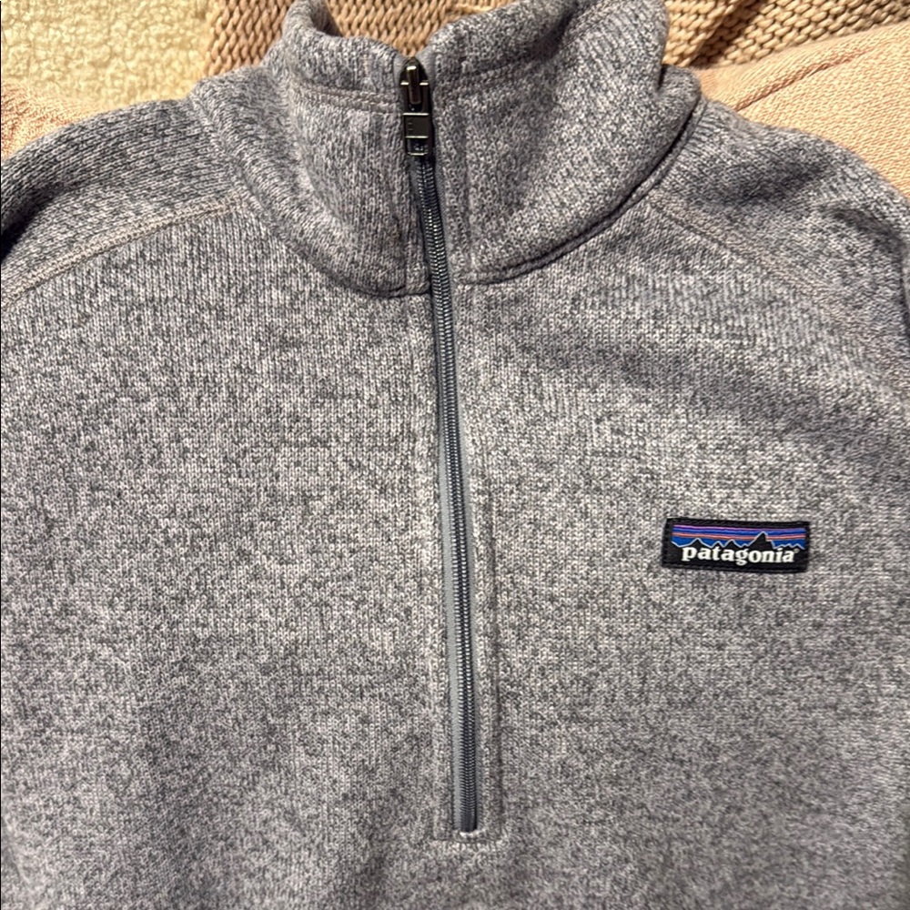 Patagonia Heathered Gray/Purple tone Fleece Pullover- women's Medium - Picture 2 of 4
